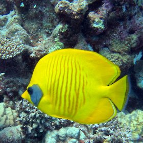 Marsa Alam_10