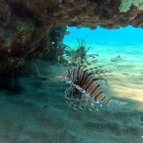 Marsa Alam_3